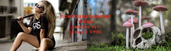 трава Абдулино