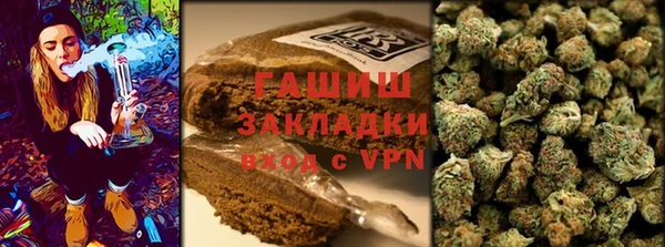 PSILOCYBIN Нязепетровск