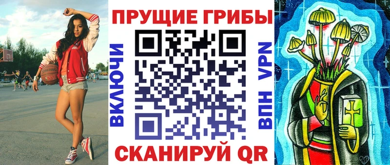 где купить наркоту  Солигалич  Псилоцибиновые грибы Psilocybe 